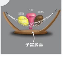 fef1e8fd-c825-4262-86ff-c81c0336e6cb.png
